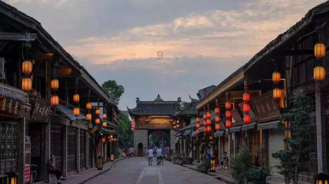 救援可爱小松鼠